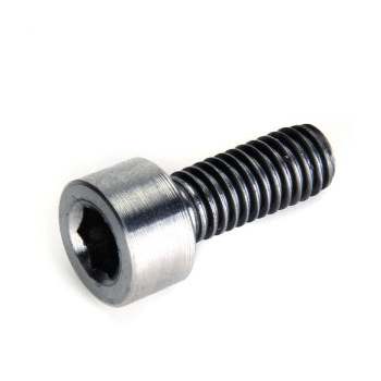 Titanium HEX CAP screw M3x10 ,1pcs