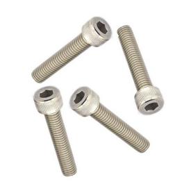 Hex Cap screw M2.5x20 (10)